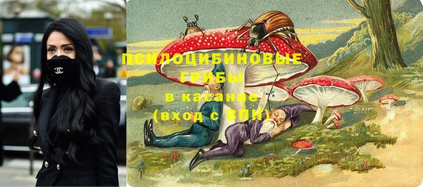 ГАЛЛЮЦИНОГЕННЫЕ ГРИБЫ Ельня