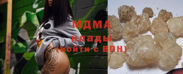 ГАЛЛЮЦИНОГЕННЫЕ ГРИБЫ Ельня