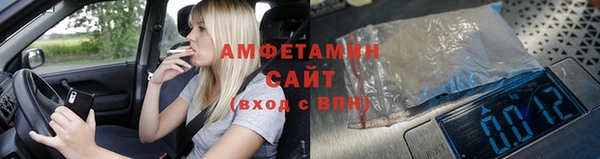 ГАЛЛЮЦИНОГЕННЫЕ ГРИБЫ Ельня