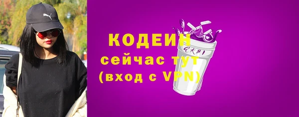 мдпв Елизово