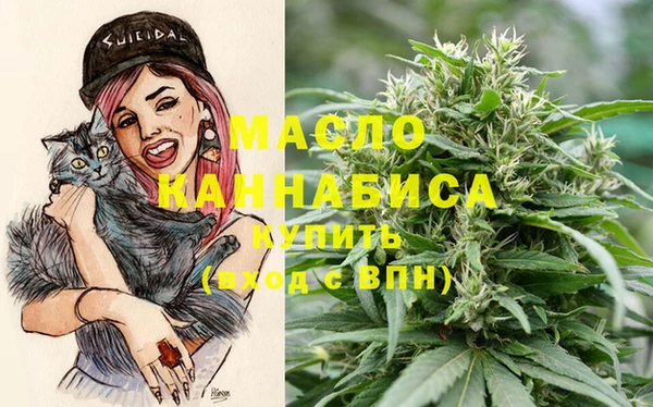мдпв Елизово