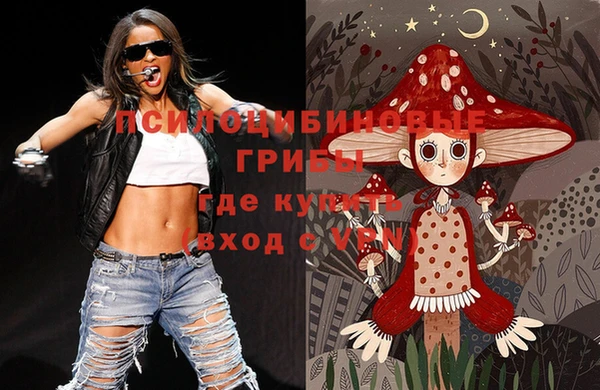 mdpv Елабуга