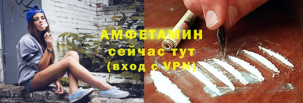 ГАЛЛЮЦИНОГЕННЫЕ ГРИБЫ Ельня