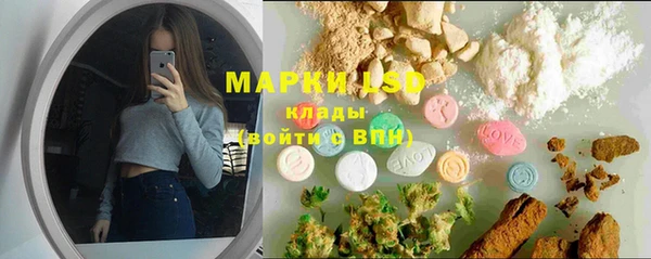 ГАЛЛЮЦИНОГЕННЫЕ ГРИБЫ Ельня