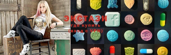 мдпв Елизово