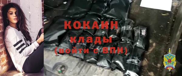 мдпв Елизово