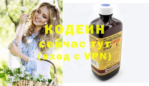 ГАЛЛЮЦИНОГЕННЫЕ ГРИБЫ Ельня