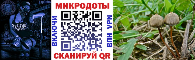 Псилоцибиновые грибы MAGIC MUSHROOMS Жуков